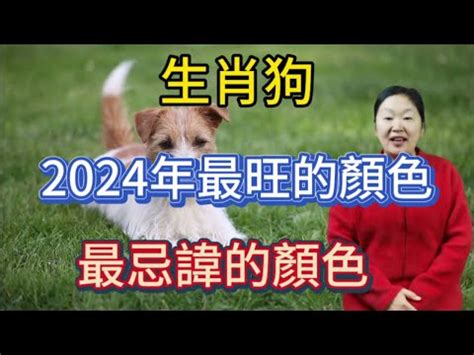 屬馬幸運色|【馬幸運色】馬兒奔赴好運！必收藏的2024年屬馬幸。